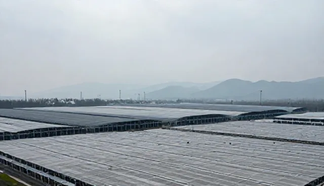 运维选型中技术转让的两种做法对比与实际取舍